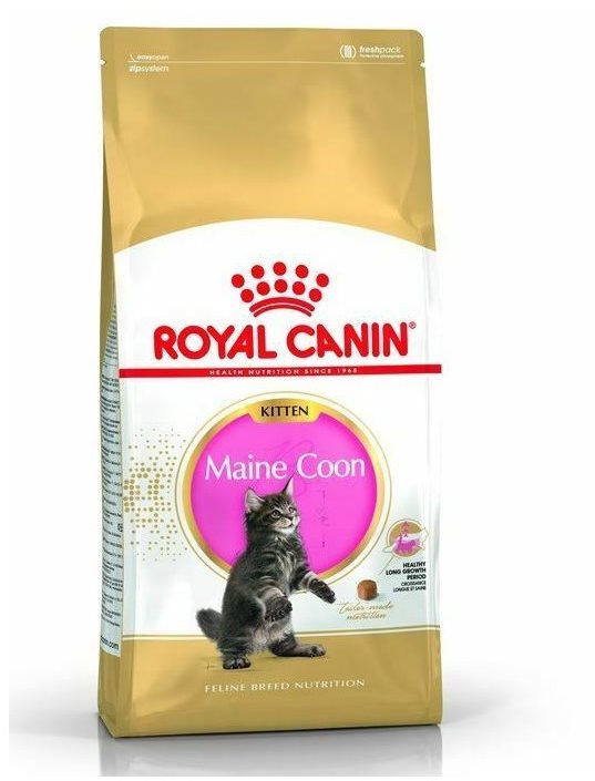 Royal Canin Maine Coon Kitten 2 kg