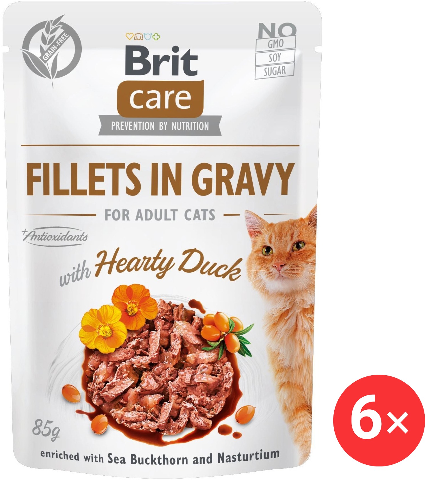 Brit Care Cat Fillets in Gravy with Hearty Duck 6× 85 g