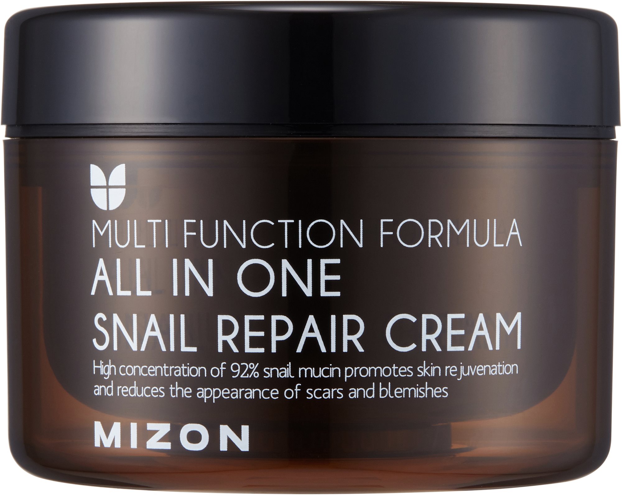 MIZON All In One Snail Repair Cream 120 ml