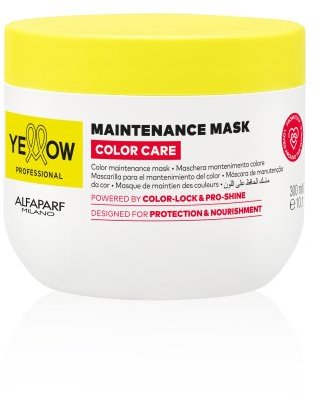 ALFAPARF MILANO YE Color Care Mask 300 ml