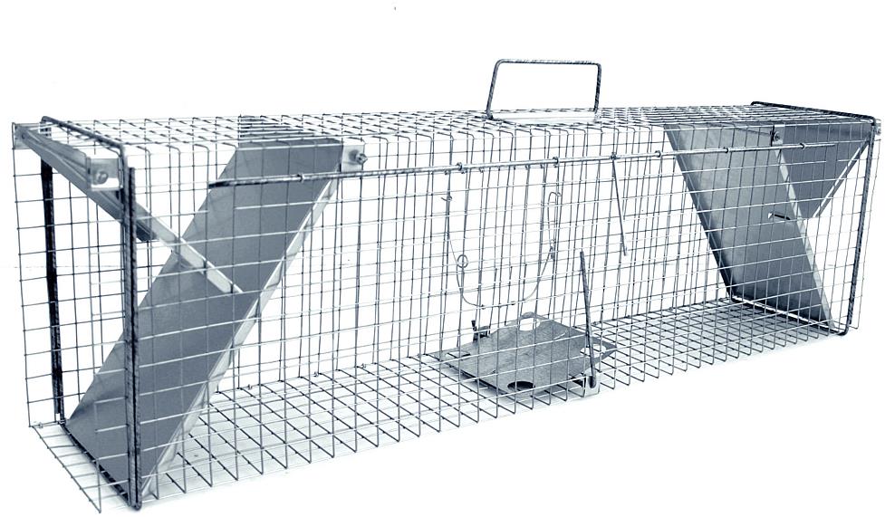 LAPKA Pasca na kuny, mačky, potkany, krysy, lasičky a tchora TRAP ZL 102 × 20 × 27 cm