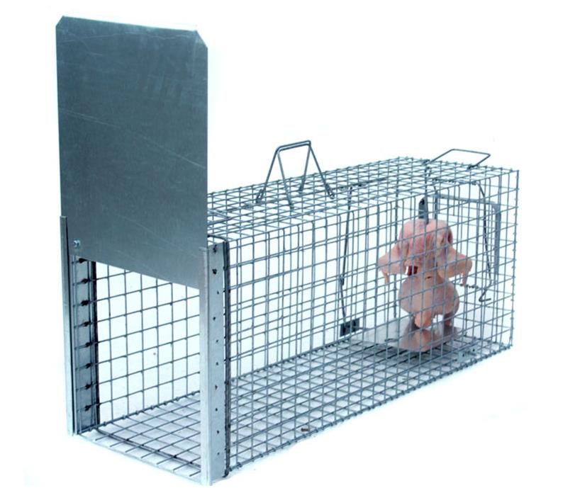 LAPKA Profesionálna pasca na líšky, kuny a mačky TRAP ST 105 × 34 × 42 cm