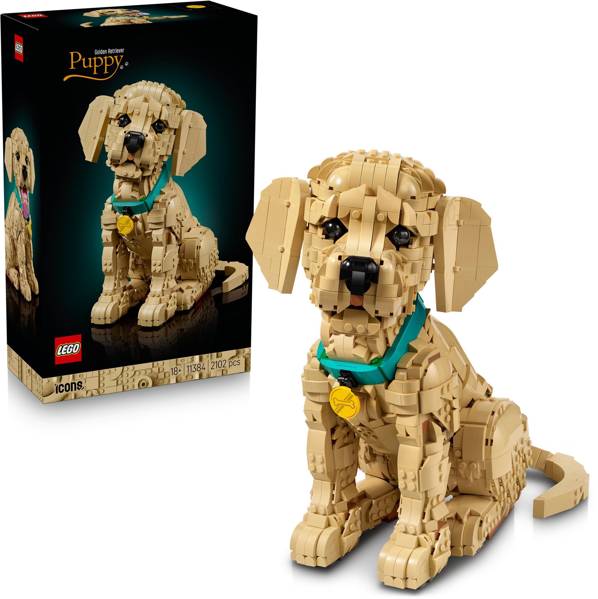 LEGO® Icons 11384 Šteňa zlatého retrievera