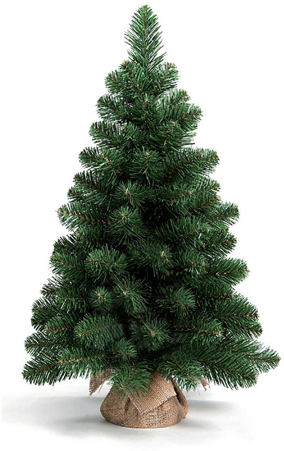 Vianočný stromček Narnia v kvetináči 45 cm