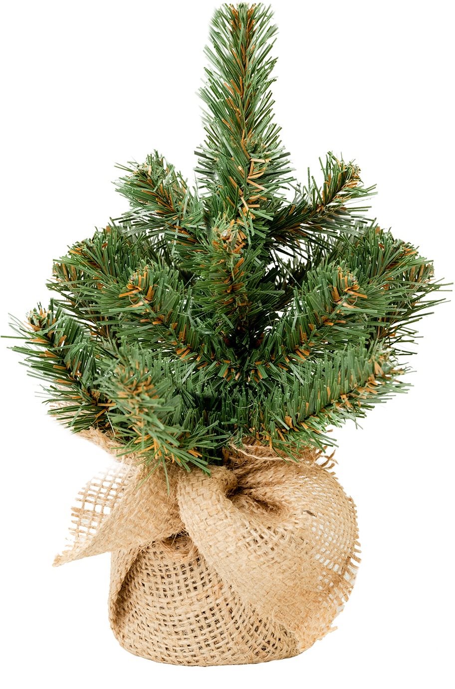 LAALU Vianočný stromček Narnie v kvetináči 25 cm