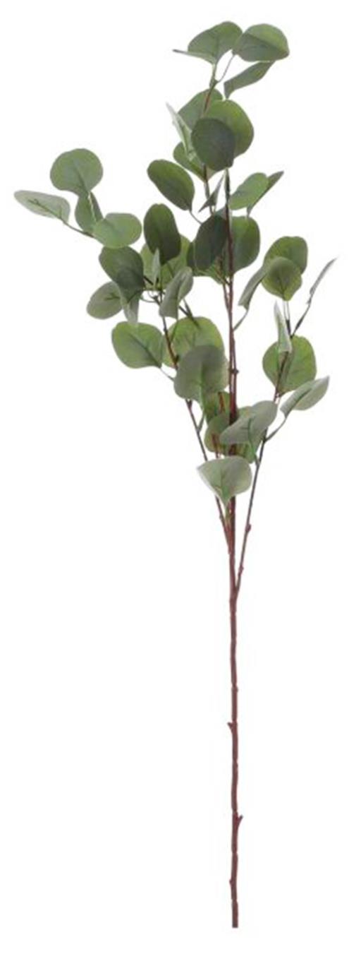 LAALU Vianočná dekorácia – vetvička eukalyptus, zelená, 93 cm