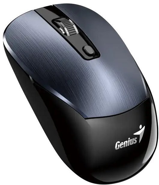 Genius NX-7125 kovovo sivá