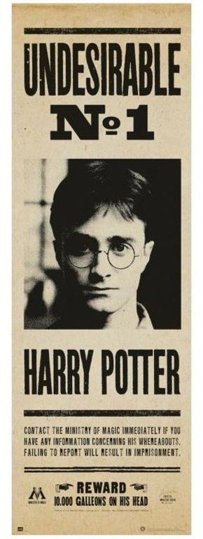 Harry Potter: Undesirable No. 1 – plagát