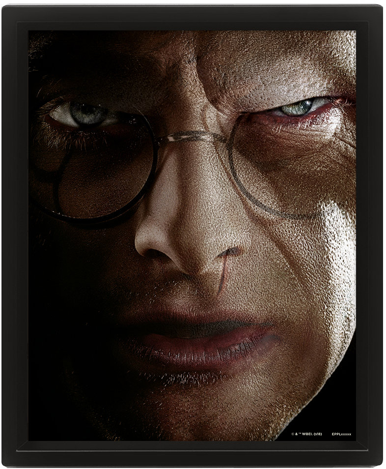 Harry Potter 3D: Harry vs Voldemort – obraz