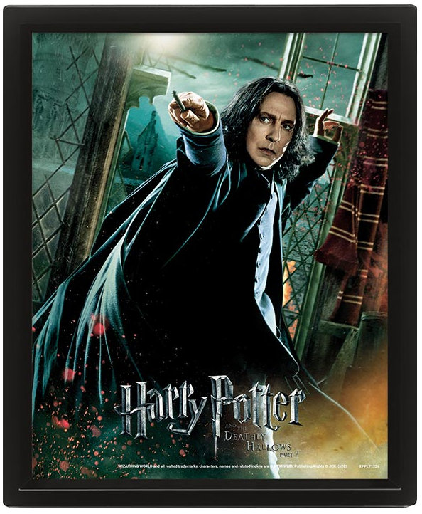 Harry Potter 3D: Snape – obraz