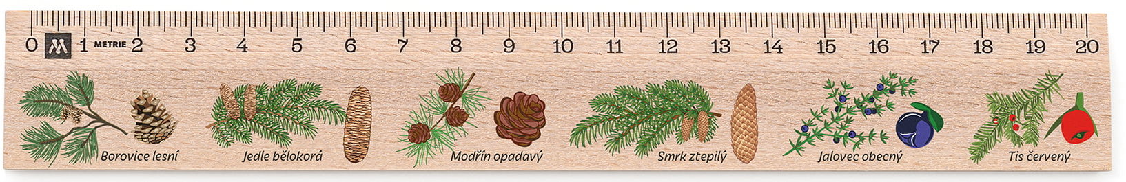 METRIE Didakt M02 drevené, ihličnany, 20 cm