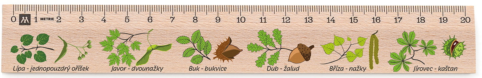METRIE Didakt M02 drevené, listnaté stromy, 20 cm