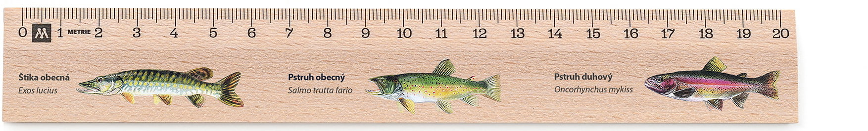 METRIE Didakt M02 drevené, ryby, 20 cm