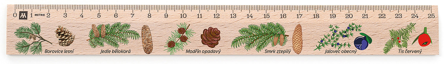 METRIE Didakt M07 drevené, ihličnany, 25 cm
