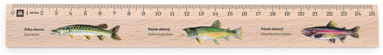 METRIE Didakt M07 drevené, s motívom rýb, 25 cm