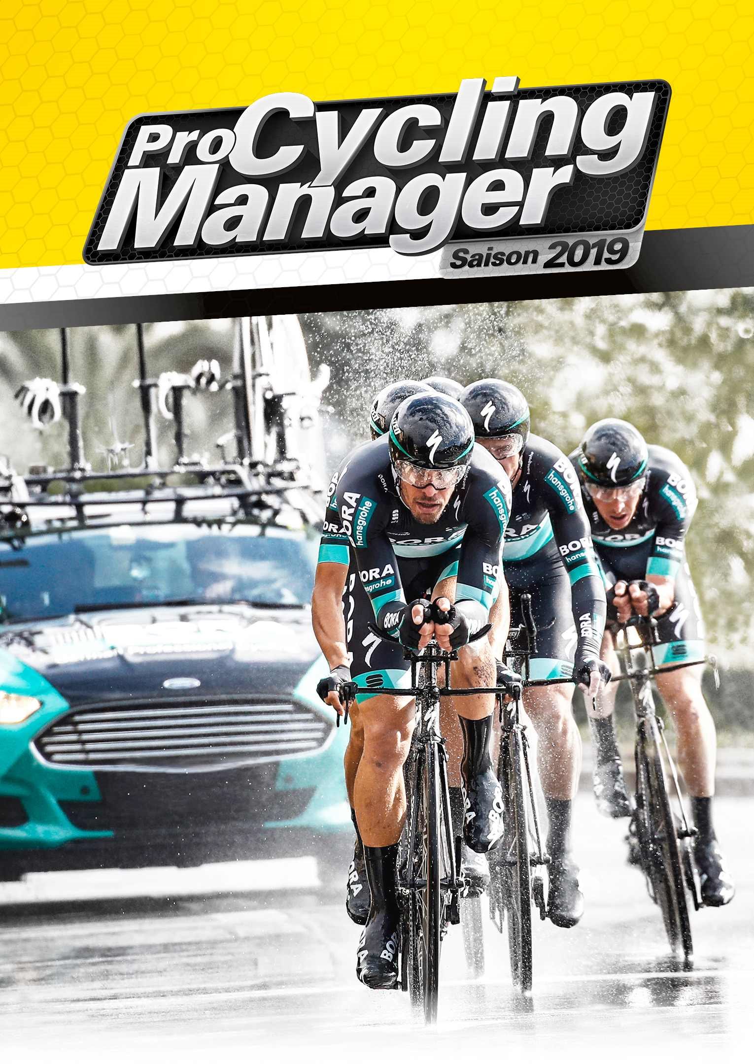 Pro Cycling Manager 2019 (PC) Steam DIGITAL