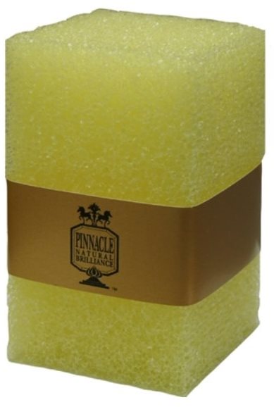 Pinnacle Safe Scrub Bug & Tar Pad