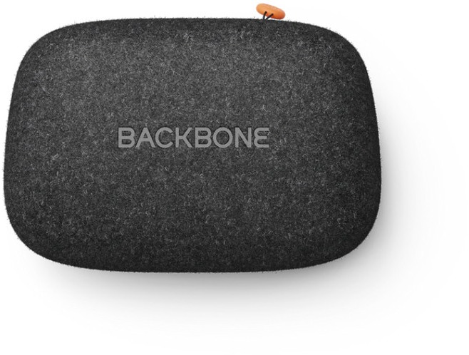 Backbone Universal Carrying Case