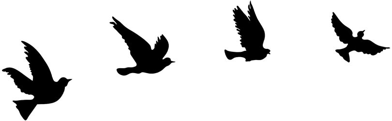 Nejlevnější nábytek Kovová dekorácia na stenu NN01641, vtáky