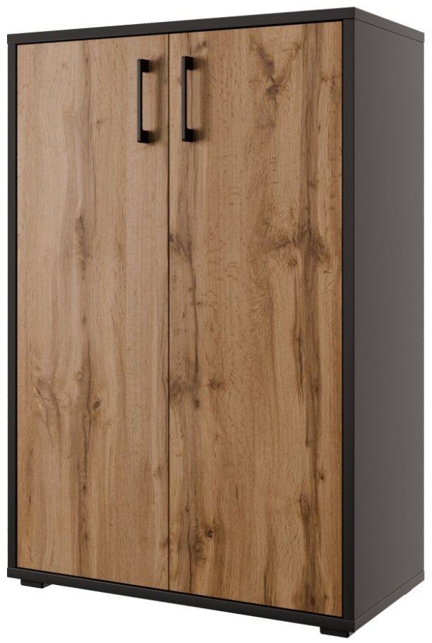 Nejlevnější nábytek Nejby gianni premium, typ 1, korpus: antracit, dvířka: dub wotan