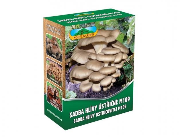 NOHEL GARDEN – Hliva ustricová, 250 ml