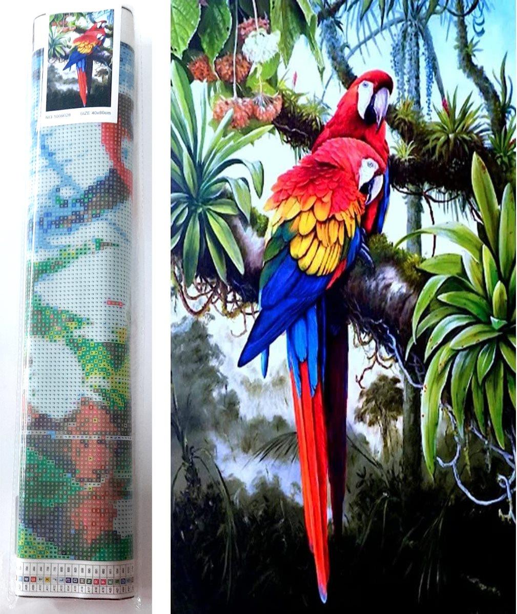 Norimpex Farebné papagáje 80 × 40 cm