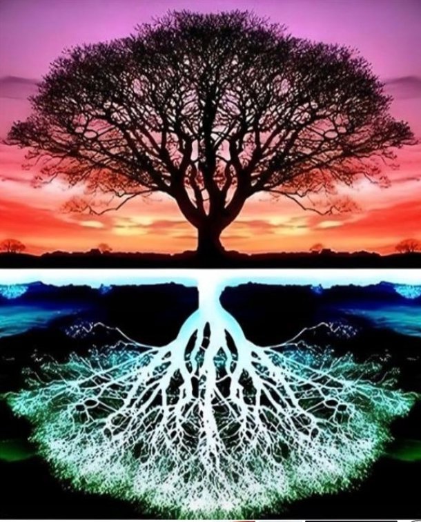 Norimpex Strom 30 × 40 cm