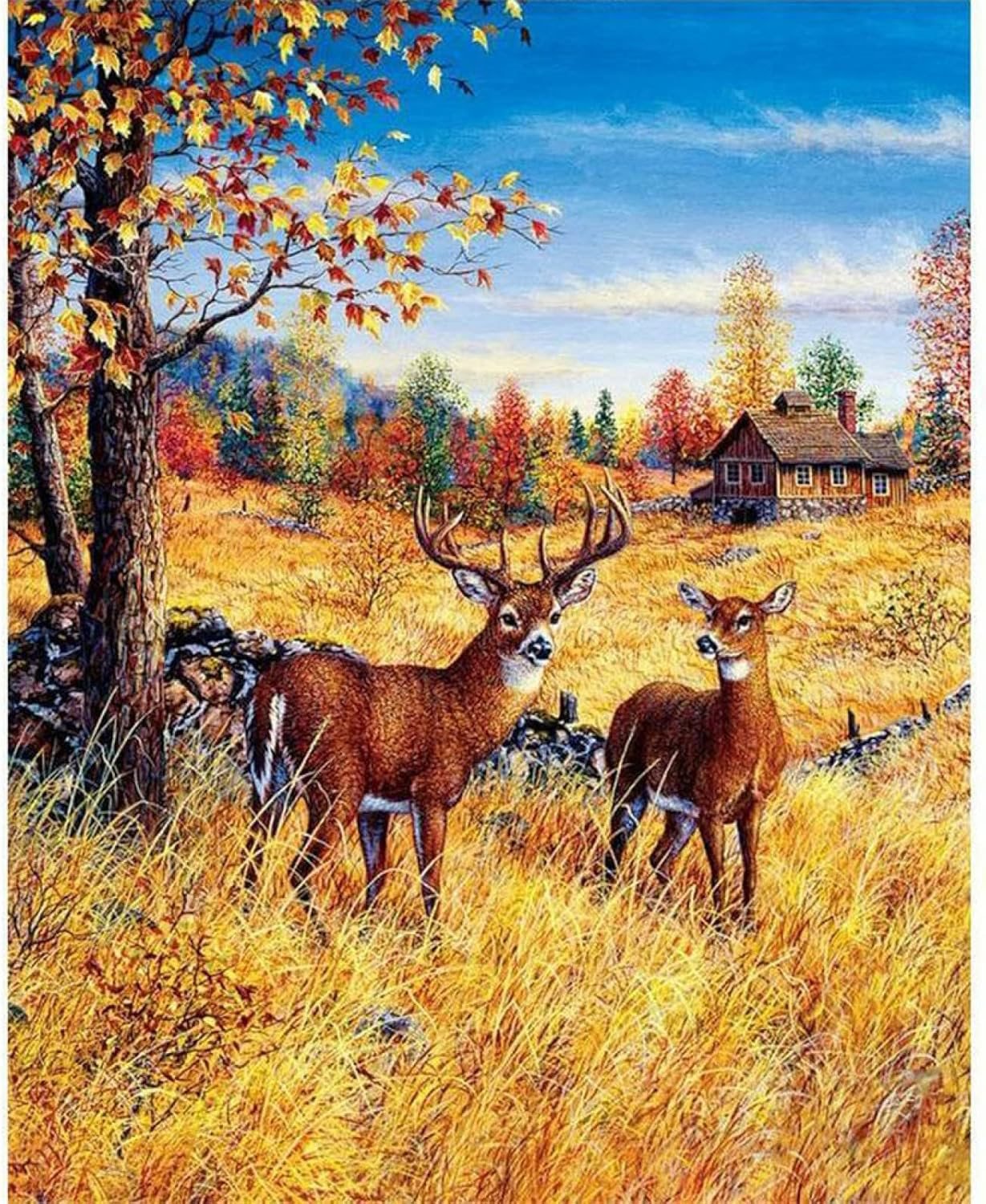Norimpex Jelene na poli 30 × 40 cm