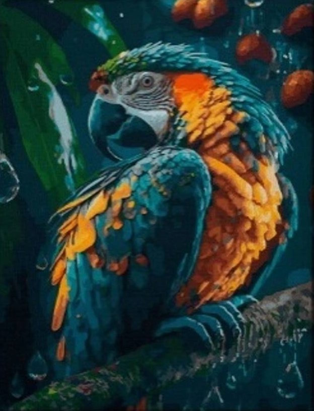 Norimpex Papagáj 30 × 40 cm