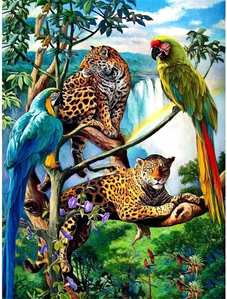 Norimpex Papagáje a leopardy 30 × 40 cm