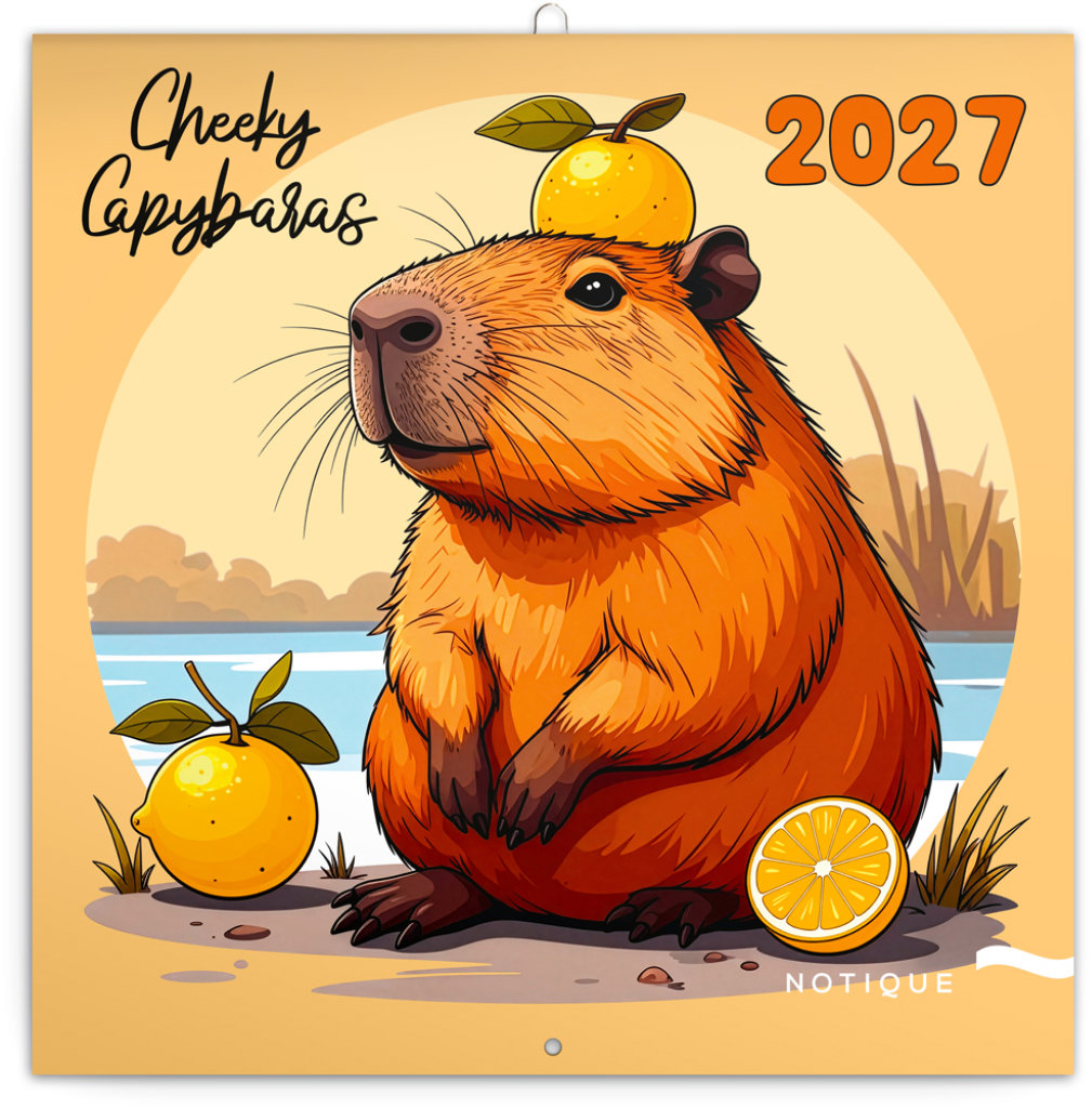 NOTIQUE poznámkový Rozverné kapybary 2027, 30 × 30 cm