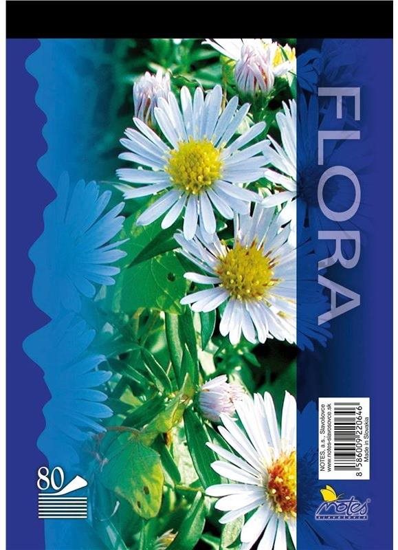 Notes A5, 80 listov, čistý