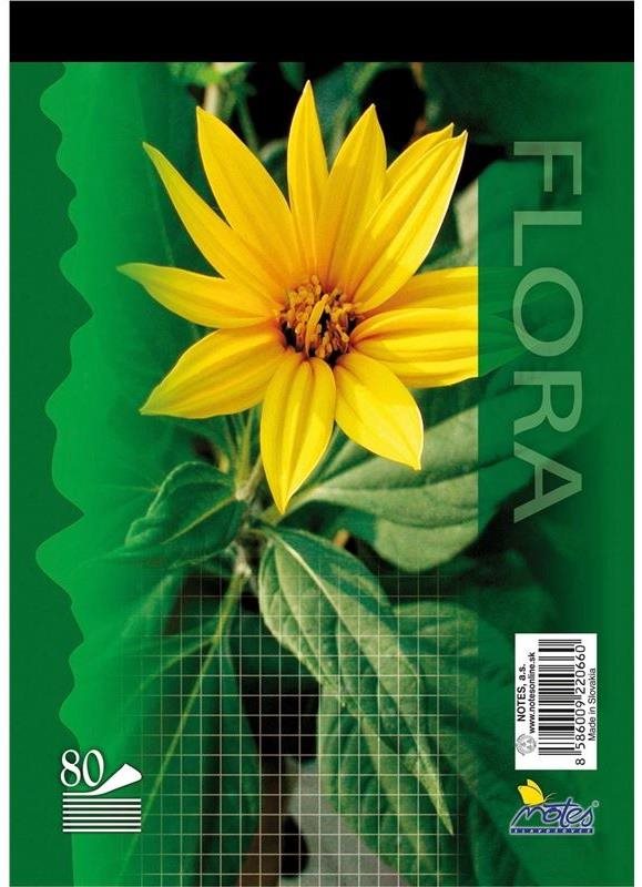 Notes A5, 80 listov, štvorčekový