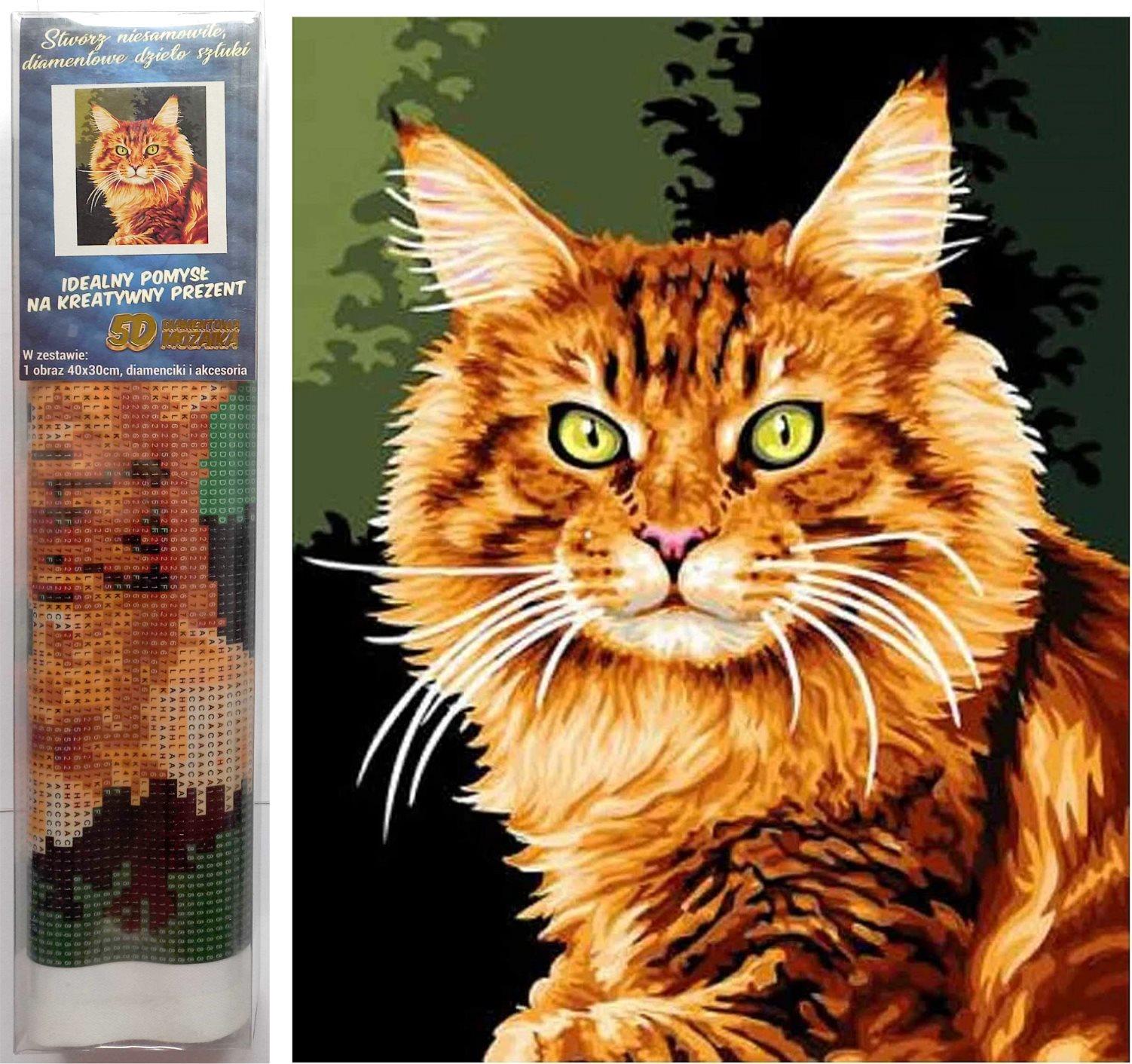 Norimpex Ryšavá mačka 30 × 40 cm