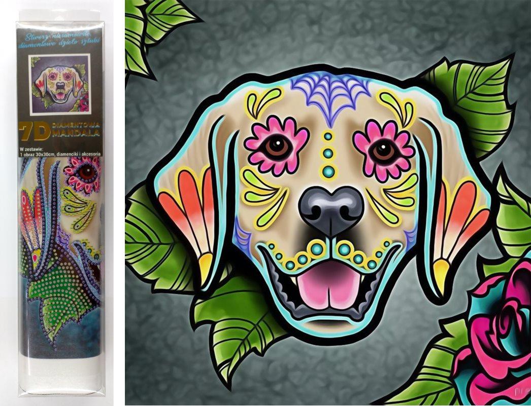 Norimpex 7D Labrador 30 × 30 cm