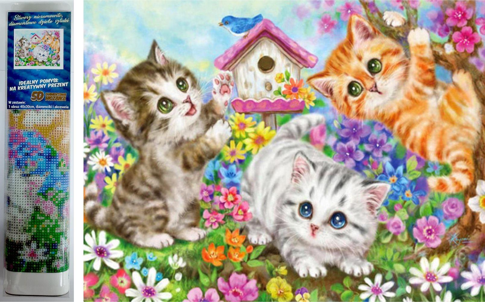 Norimpex Mačacia partia 30 × 40 cm