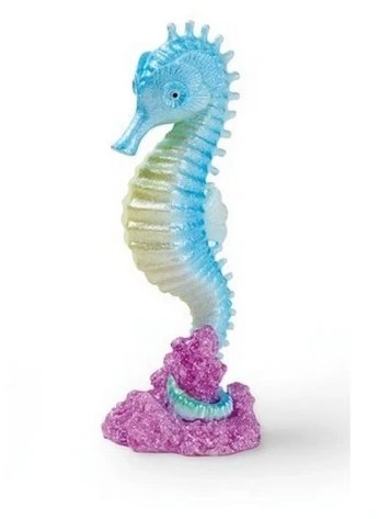 Oase Eden Morský koník