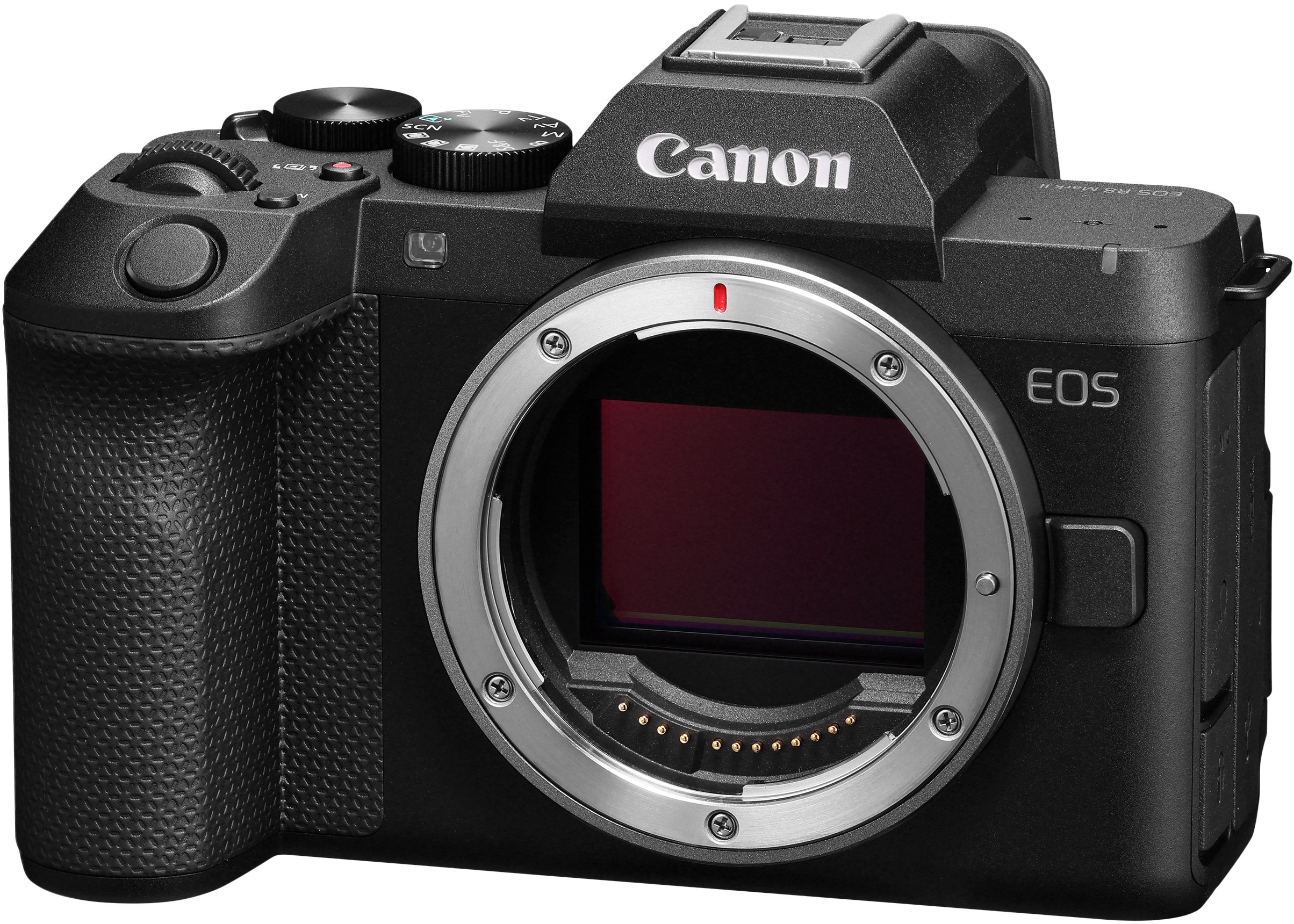 Canon EOS R8 Mark II telo