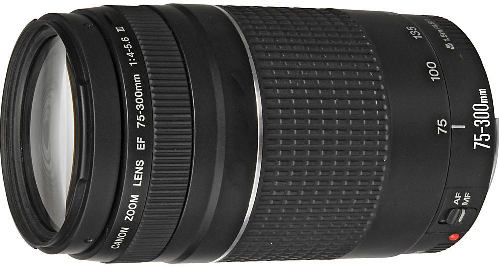 Canon EF 75-300mm F4.0 - 5.6 III Zoom