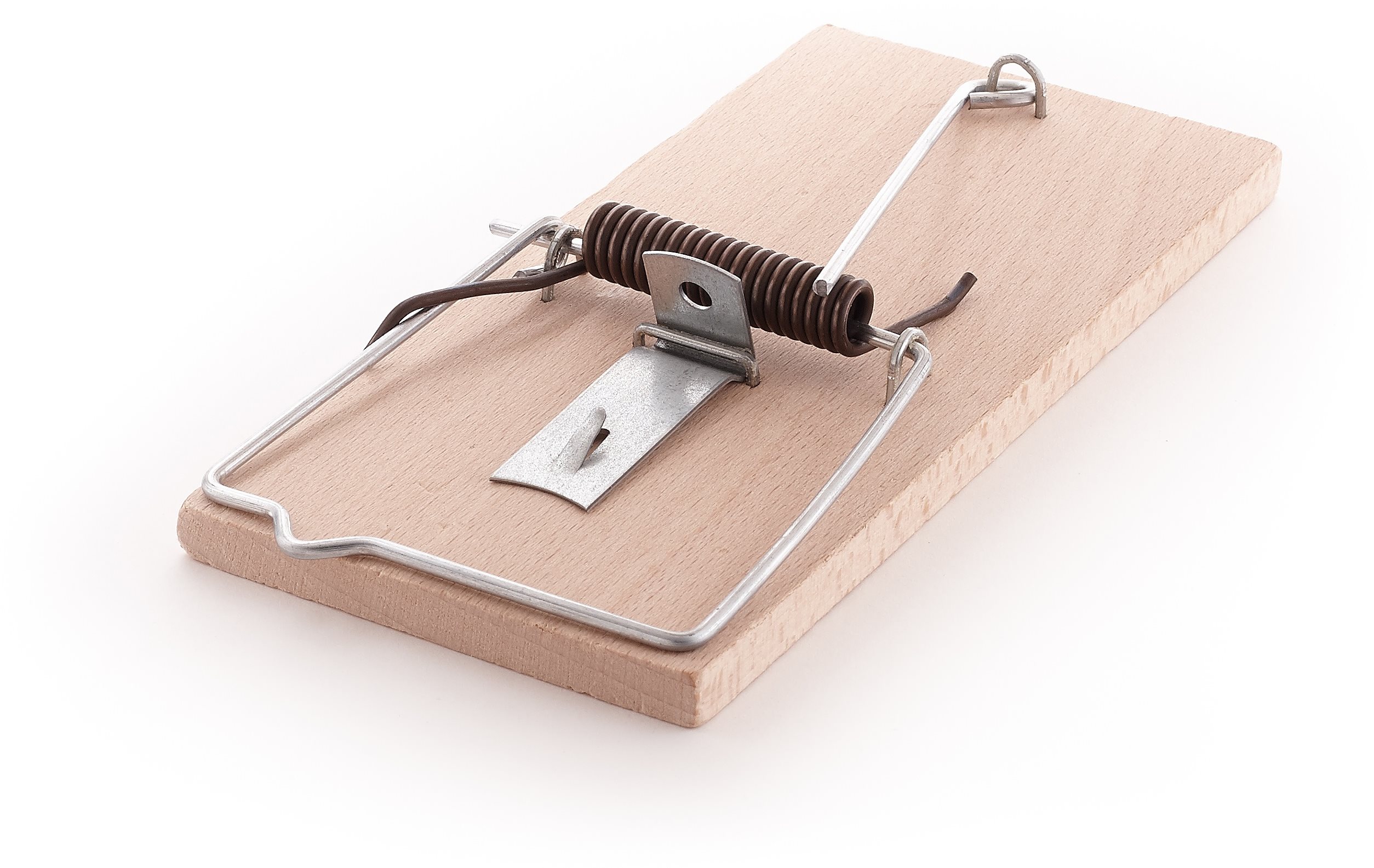 PAPÍRNA MOUDRÝ - Pasca na krysy z bukového dreva