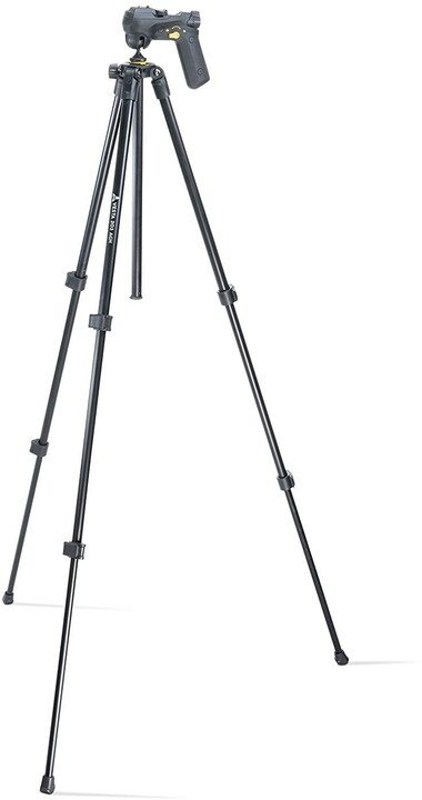 Vanguard Vesta 203AGH