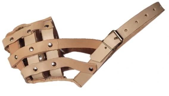 Palkar kožený náhubok pre psy veľ. 1, 20 × 6 cm, prírodný