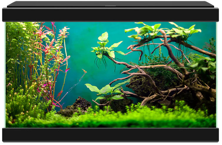 CIANO Aquarium 20 Black
