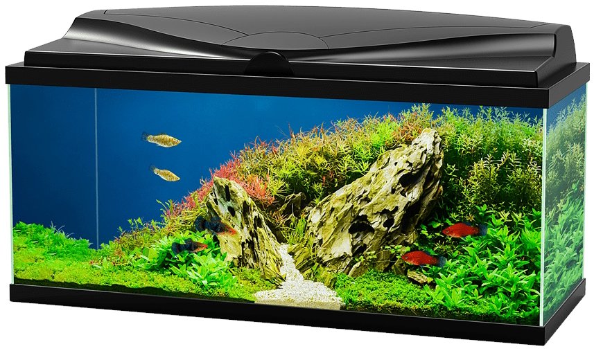 CIANO Aquarium 80 Black
