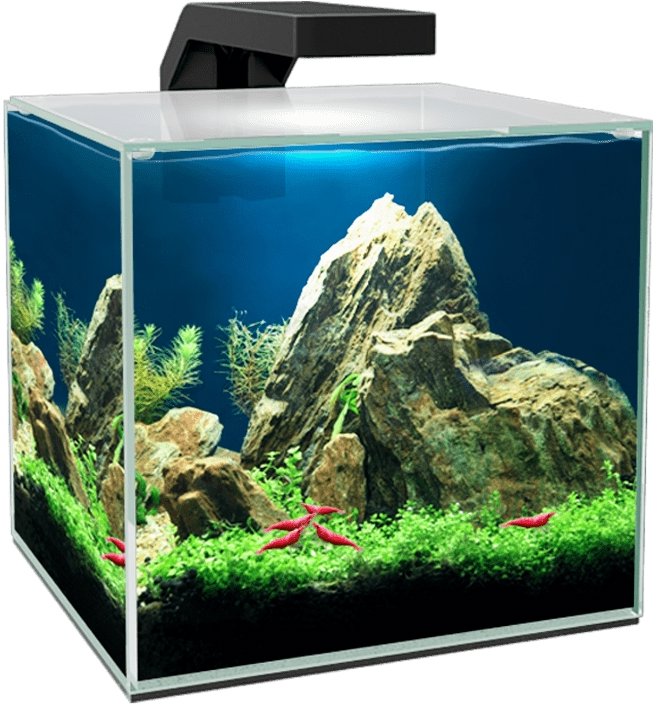 CIANO Aquarium Cube 15