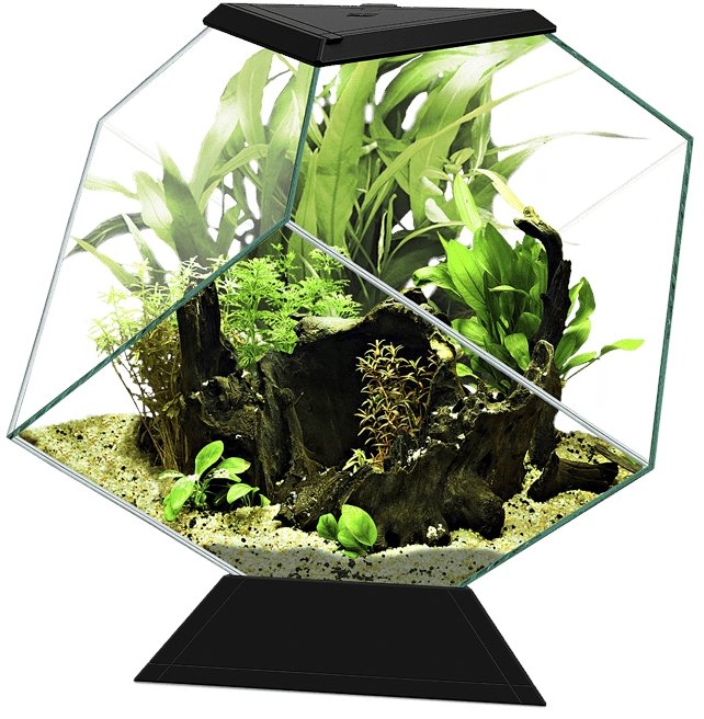 CIANO Aquarium Nexus Pure Diamond