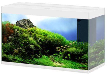 CIANO Aquarium Emotions Pro 80 White