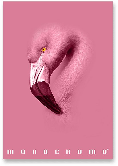 PIGNA Monocromo Pink A4 šitý, linajkový, náhodný motív