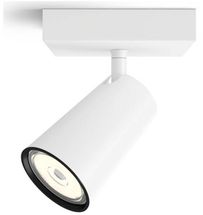 Philips PAISLEY single spot biely