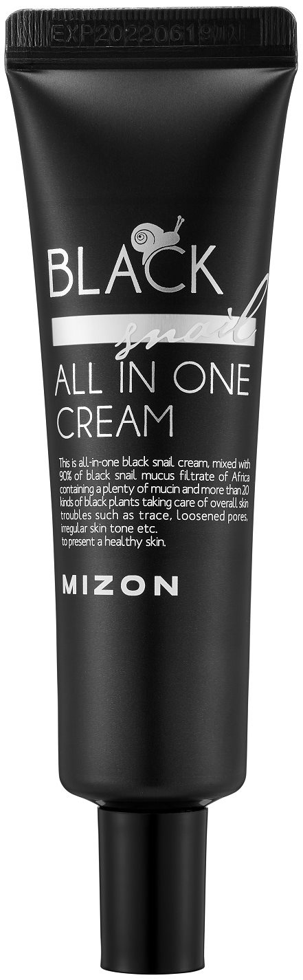 MIZON Black Snail All In One Cream 35 ml